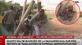Pasajeros varados en Panamericana Sur sacan racimos de uvas de viñedo: “Estamos de hambre”