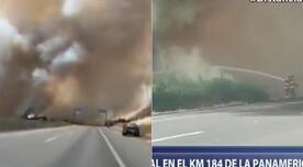 Chincha: se registró incendio forestal en la Panamericana Sur - VIDEO