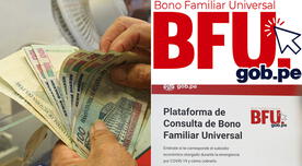 Segundo Bono Universal - BFU LINK: consulta con tu DNI si te toca cobrar