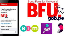 Bono Universal de enero 2021: consulta si eres beneficiario a los 760 soles