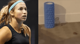 Australian Open: tenista encuentra ratón en habitación de hotel mientras cumple cuarentena - VIDEO
