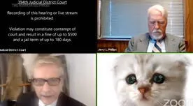 "No soy un gato": abogado ingresa a una audiencia virtual con un filtro de gato