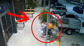 Viral: anciana tumba a ladrón para que no le robe su bolso - VIDEO