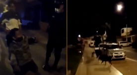 Serenazgo captura a delincuentes con la ayuda de perros callejeros - VIDEO