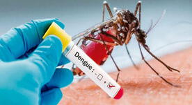 Dengue en Lima: CMP confirma casos y alarma su rápida expansión - VIDEO