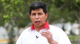 Elecciones 2021: Mira cómo le fue a Pedro Castillo en Huancavelica y Apurímac