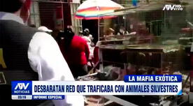 Cercado de Lima: Autoridades descubren nueva red de tráfico de animales en Mercado Central