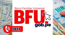 BFU S/760: revisa con tu DNI si accedes al Bono Familiar Universal