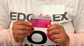 Salario Rosa CDMX-EDOMEX: requisitos para acceder al subsidio