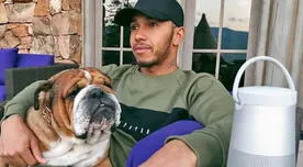 Lewis Hamilton podría ir a la cárcel por volver vegano a su perro