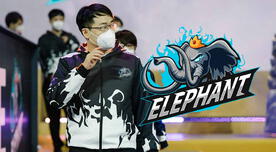 Dota 2: Elephant habría dejado de existir, según mánager del equipo