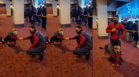 ¿Spiderverse confirmado? Perro araña causa sensación en estreno del trailer de Spiderman