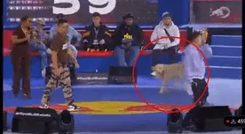Red Bull Batalla de gallos 2021: perro se cuela durante evento en vivo