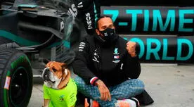 Lewis Hamilton: perro de campeón de Fórmula 1 gana más de 20 mil dólares mensuales