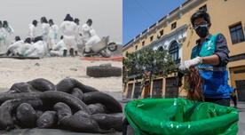 Municipio de Lima habilita lugares para donar cabello y limpiar las playas de petróleo