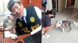 'Max', perrito que sufrió maltratos, encontró nuevo hogar en la Policía Nacional