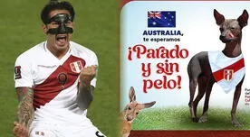 "Parado y sin pelo": Gobierno ya vive el duelo ante Australia con miras al Día del perro peruano