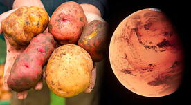 NASA: La papa peruana sería un alimento para los futuros habitantes en Marte