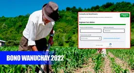 Bono Wanuchay 2022 LINK oficial: consulta AQUÍ con DNI si cobrarás los 350 soles