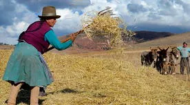 Bono Wanuchay: ¿Cuáles son los requisitos para ser beneficiario?