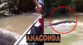 Jóvenes navegaron por el río Amazonas y se encontraron con una anaconda - VIDEO