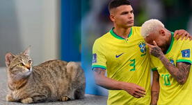 Brasil recibió una demanda de 200 mil dólares por maltrato animal, tras la eliminación en Qatar