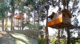 Airbnb: usuarios se sorprenden con casa de árbol al estilo de 'Tarzán' en Huancayo