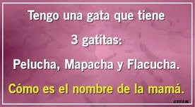 Intenta descubrir el nombre de la mamá de las gatas: ¿Podrás superarlo en 7 segundos?