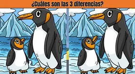 ¿Logras ver las 3 diferencias entre los pingüinos? Solo el 1% lo resolvió en 8 segundos