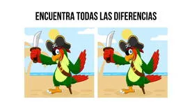 ¿Por qué uno de los loros piratas es falso? Encuentra las 3 diferencias