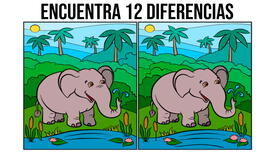 ¿Serás lo suficientemente inteligente para hallar las 12 diferencias en 10 segundos?