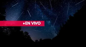 ¿Cuándo y a qué hora ver la lluvia de estrellas de las Perseidas en México?