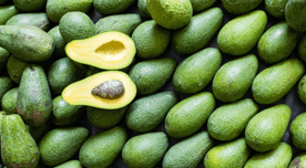 ¿Se puede consumir la semilla de la palta? Esto dicen los estudios