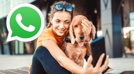 Ocho fotos bonitas y creativas para que pongas como perfil de WhatsApp