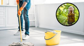 Limpia tus pisos con menta: el resultado te sorprenderá y mejorará tu estilo de vida