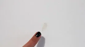 Descubre el truco casero para eliminar las manchas de los dedos en la pared