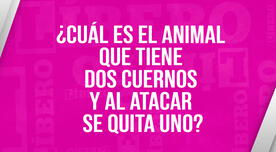 ¿Cuál es el animal que tiene dos cuernos y al atacar se quita uno? Casi nadie superó este acertijo