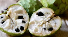 Chirimoya, la fruta peruana que posee excelentes propiedades nutritivas: ¿Cuáles son?
