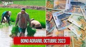 Bono Agrario 2023: ¿Todavía puedo consultar con DNI si recibo el FertiAbono 2?