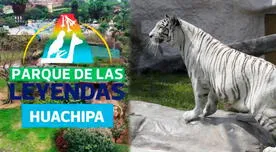 Nuevo Parque de las Leyendas en Huachipa: ¿Qué animales se encuentran en el zoológico?