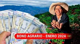 Bono Agrario, LINK para consultar: ¿Cobrarás hasta 7,447 soles del subsidio este 2024?