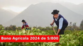 Bono Agrícola de 800 soles: ¿quiénes son los beneficiarios?