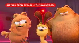 VER 'Garfield: fuera de casa' película completa en español latino por Internet