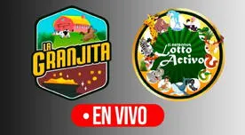 Lotto Activo y La Granjita de HOY, 7 de mayo: resultados y animalitos ganadores
