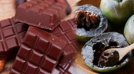 La fruta MILENARIA con sabor a chocolate y que solo se puede encontrar en países de América