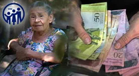 Atención pensionados: CONSULTA AHORA tu estado de cuenta del Instituto Venezolano de los Seguros Sociales