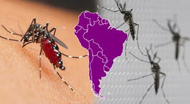 ¿Problemas de MOSQUITOS en tu hogar? Con este TRUCAZO les dirás ADIÓS para siempre