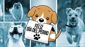 Día Mundial del Perro: CELEBRA al mejor amigo del hombre con estas emotivas FRASES vía WhatsApp