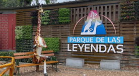 Ingresa GRATIS al Parque de las leyendas este domingo 18 de agosto: quiénes acceden al beneficio