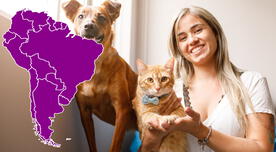 El país de Sudamérica que tiene más mascotas en el mundo, incluso superando a Estados Unidos y China